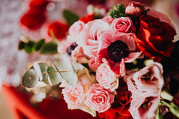 romântico, dia dos namorados, buquês de dia dos namorados, flores, rosas, amor, floral, rosa, vermelho, buquê, monte