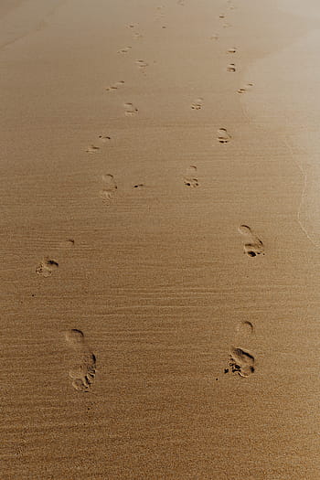 jejak kaki, berpasir, pantai, portugal, kaki, samudra, pasir, laut, musim panas, Eropa, berjalan