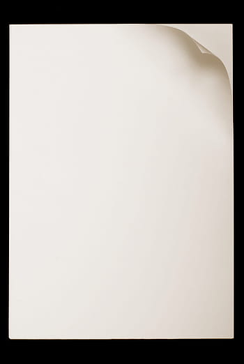 paper, white, sheet, note, notepad, folded, curl, page, corner, notebook, blank