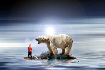 merkelová, klimatická změna, miniaturní figurky, lední medvěd, ochrana životního prostředí, ekologická politika, globální oteplování, ledovec, západ slunce, antarktida, Severní pól