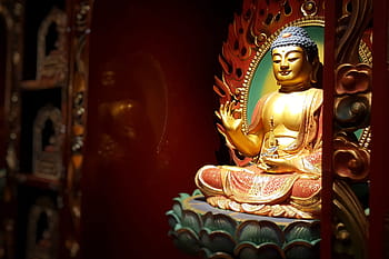 buddhist temple, various, buddha, buddhism, buddhist
