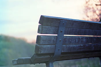 wood, bench, park