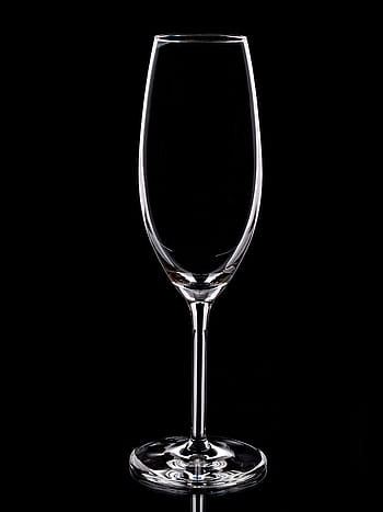 champagne glass, glass, drink