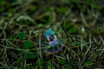 bubbles, water, reflection, green, grass, nature