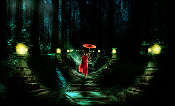 forest, stairs, monk, stone lanterns, path, trees, moss, moonlight, darkness, lighting, gloomy