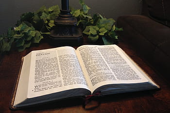 open bible, various, bible