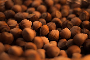 lískové oříšky, jídlo, ořechy, zdravé občerstvení, přírodní ingredience, lískový shluk, detailní lískové ořechy, oříšková textura, Lísková skořápka, lísková hromada, oříškové pozadí