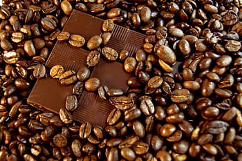 závislost, Afrika, aroma, aromatický, Pozadí, bar, fazole, Černá, luk, vařit, hnědý