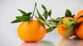 mandarines, citrus, fruit, green, leaf, leaves, mandarine, orange