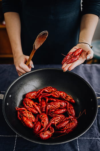 lobster rebus, hewan, makanan, memasak, makan malam, merah, lobster, rebus, dimasak, crawfish