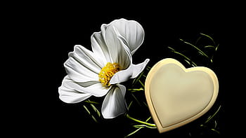 trauerkarte, golden heart, mourning, hope, floral card, blossom, bloom, emotion, background, consolation, die