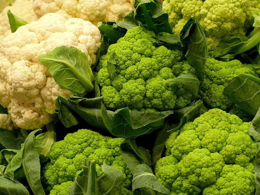 zelí, zelenina, sano, jídlo, zelená, alimentari, listy, zahrada, jíst, zemědělství, salát