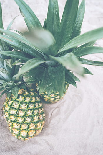 pineapple, dessert, appetizer, fruit, juice, crop