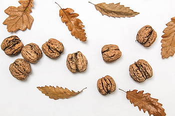 Walnüsse und Blätter, Herbst, braun, Blatt, Blätter, Nuss, Nüsse, Nussbaum, Walnüsse, Weiß