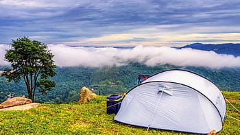 camping, camp, adventure, the stake, leisure, tent, nature, trekking, summer, forest, são paulo