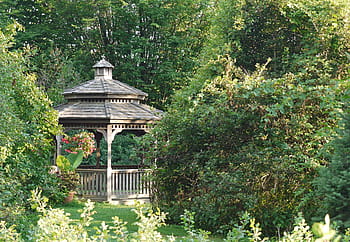 small, wooden, gazebo, backyard garden, garden., wooden gazebo, outdoor gazebo, small gazebo, hardtop gazebo, backyard gazebo, garden gazebo