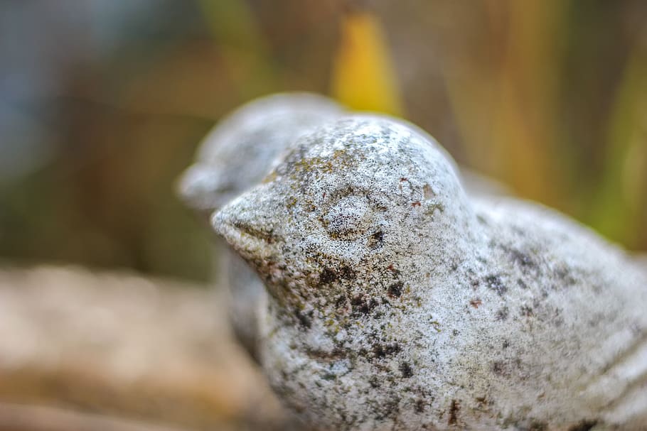 sound, stone, figure, bird, weathered, nature, miniature, garden, stone figure, water dispenser, garden decoration