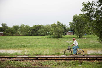 manusia, naik, sepeda, kereta api, trek, sawah, latar belakang, awan, pertanian, petani, hijau