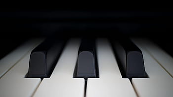 piano, ivory, ebony, synthesizer, key, musical instrument, keyboard instrument, keyboard, music, instrument, close up
