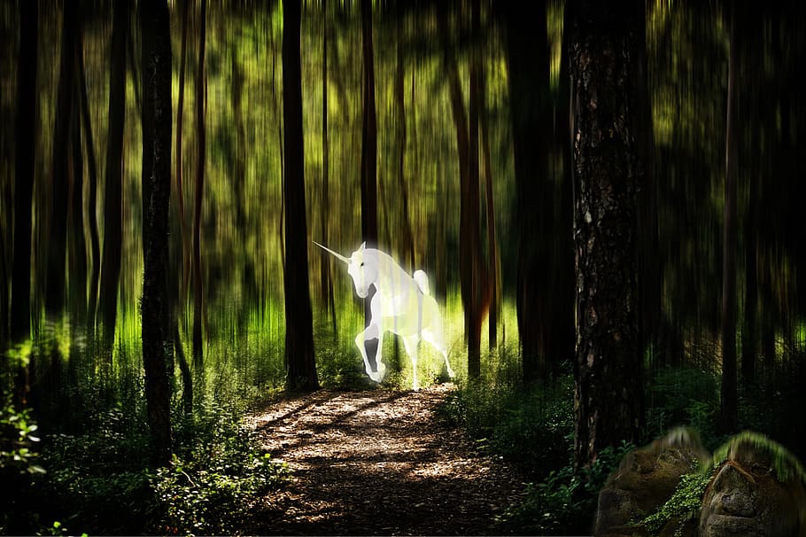 jednorožec, les, fantasy obrázek, fotomontáž, mysticismus, mýtické bytosti, mezi světem, řízení, formátu, atmosféra, romantický