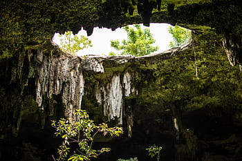 gat, cenote, grot, zo, ondergronds, yucatan, pierre, natuur, geologie, zwembad, Mexico