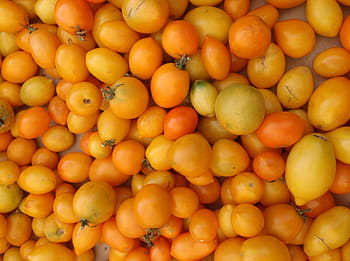 chomáč, žlutooranžová rajčata, farmářský trh, San Francisco Kalifornie, abstraktní, zemědělství, Pozadí, zvonek, Jasný, paprika, třešeň
