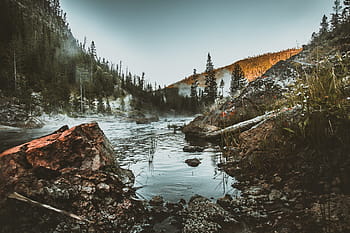 ráno, svítání, mlha, brzy, krajina, yellowstone, národní park, Země, cestovat, Příroda, hory