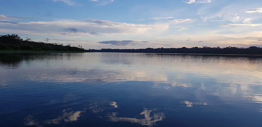 laguna, limoncocha, ecuador, amazonia, landscape