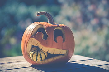 wallpaper, carved, halloween, halloween pumpkin, orange, orange color, pumpkin, season, seasonal, autumn, food