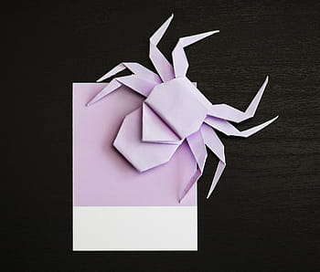 animal, art, background, black, bright, bug, card, close up, colorful, craft, creativity