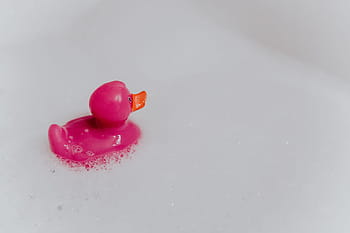 rosa, patito de goma, espuma, pato de goma, pato rosa, pompas de jabón, juguete, juguete de goma, baño