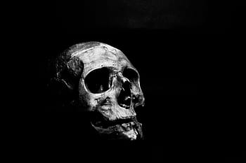 czaszka, człowiek, szkielet, kość, głowa, śmierć, nie żyje, przerażający, renderowanie, straszny, halloween