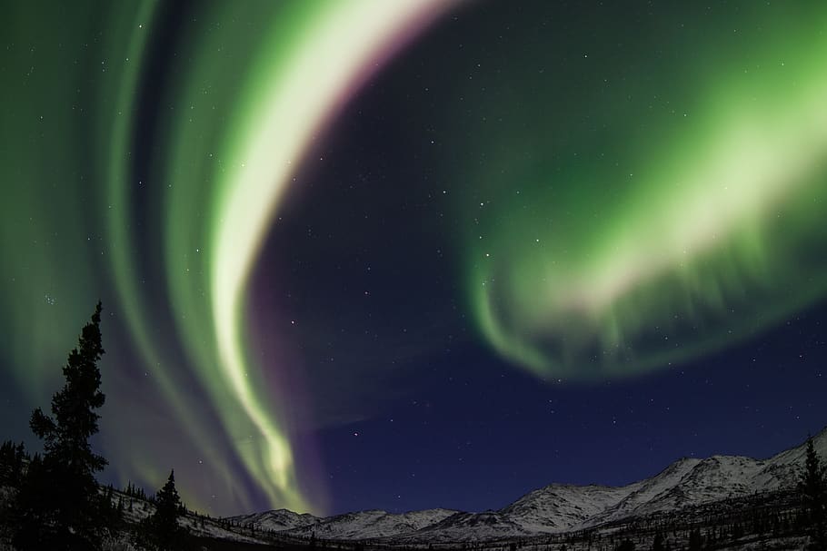 aurora borealis, northern lights, sky, night, landscape, nature, dark, colorful, bright, trees, silhouettes