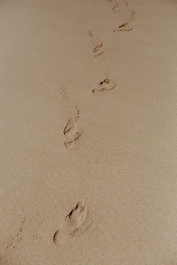 jejak kaki, berpasir, pantai, portugal, kaki, samudra, pasir, laut, musim panas, Eropa, berjalan