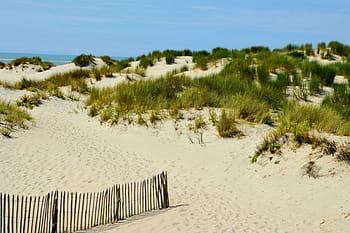 sea, beach, hauts de france, resort, the touquet, france, pas de calais, opal coast, low tide, bay of canche, barrier