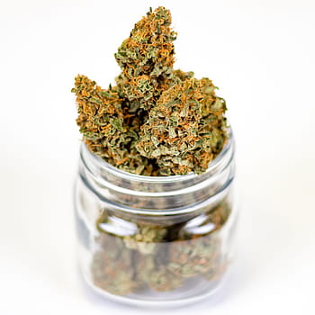 marihuana, hrnec, plevel, konopí, lék, rostlina, lékařský, léčivý