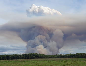 foresta bruciata, crea, enorme, nuvola di funghi, nube, nuvole, fungo, carburante, emissione, clima, incendio boschivo