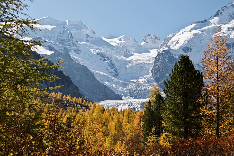engadin, φθινόπωρο, αποχρωματισμό διαβατηρίου, δέντρα, βουνά, φθινόπωρο διάθεση, παγετώνας