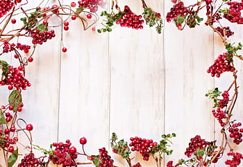 border, frame, text space, red berries, christmas, holiday, winter, vines, decorative