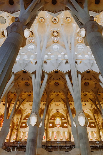 catedral, projetado, barcelona, ​​espanha, religião, arquitetura, cidade, Europa, igreja, espanhol, católica