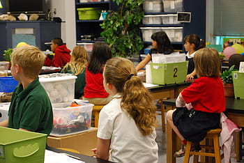classroom, student, students, lesson, science, lab, study, educating, educational, class, education