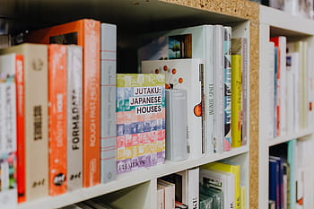banyak, buku, toko buku, baca, studi, sastra, pengetahuan, rak, pembaca, perpustakaan, toko