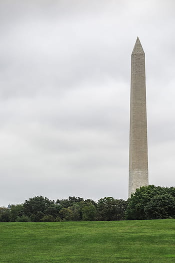 washington dc mall view, monumento di Washington, crescente, dietro a, collina di erba, collina., America, americano, architettonico, architettura, blu