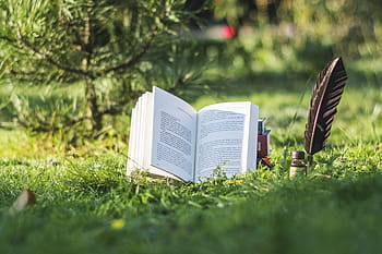 book, nature, pen, reading, education, paper, home page, novel, to read, antique, library