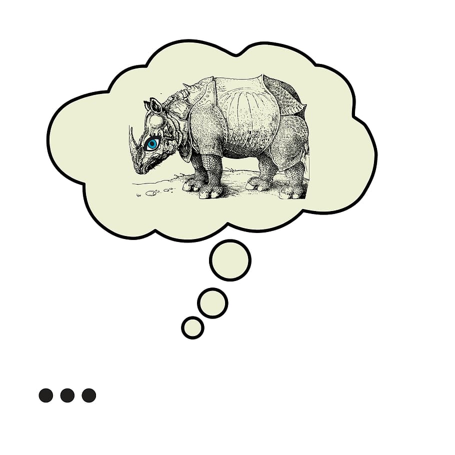 nosorožec, bublina, albrecht durer rhino, myslící, umění, umělecký, myslel, psychologie, mysl, hlava, znalost