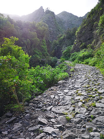 skalnaté, cesta, silnice, krajina, Příroda, Skála, hory, turistika, stromy, scénický, zelená