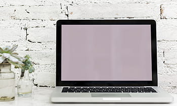 prázdný, počítač, přístroj, digitální, digitální zařízení, laptop, maketa, notebook, rostlina, prostor, bezdrátový