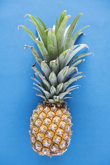 blue background, delicious, dessert, diet, energy, flat lay, flatlay, food, fresh, freshness, fruit