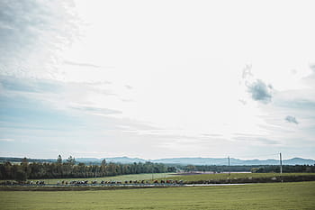 panoramatický, Pohled, cyklistický závod, země silnici, dobrodružství, sportovec, kolo, výzva, mraky, cyklistika, zelená