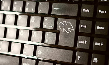 keyboard, computer, peace dove, harmony, symbol, input, click, enter key, button, enter, laptop